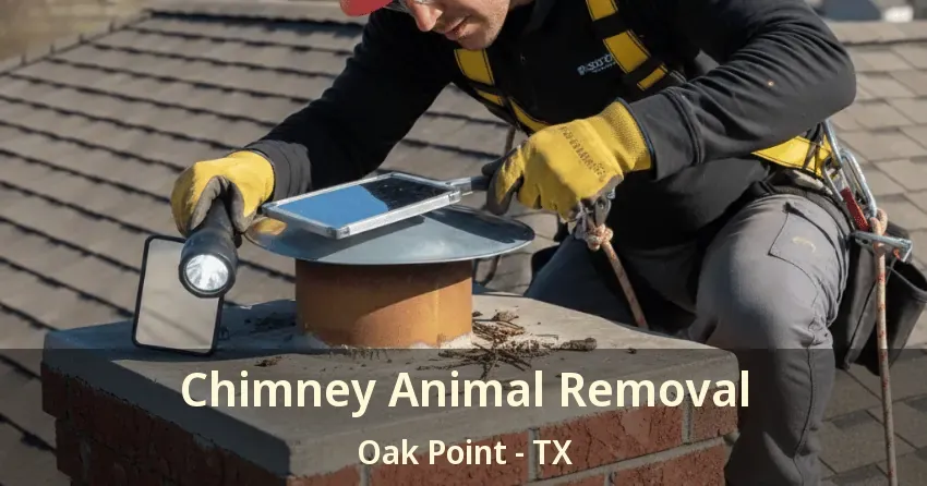 Chimney Animal Removal Oak Point - TX