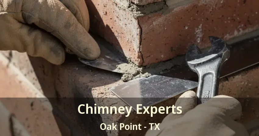Chimney Experts Oak Point - TX