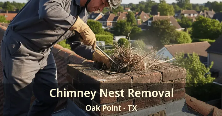 Chimney Nest Removal Oak Point - TX