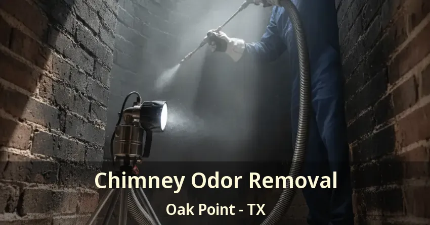 Chimney Odor Removal Oak Point - TX