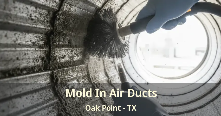 Mold In Air Ducts Oak Point - TX