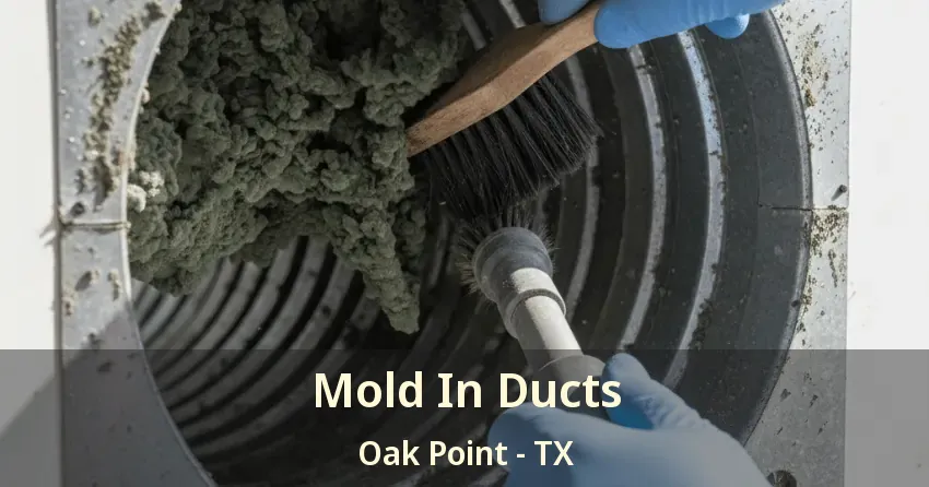 Mold In Ducts Oak Point - TX