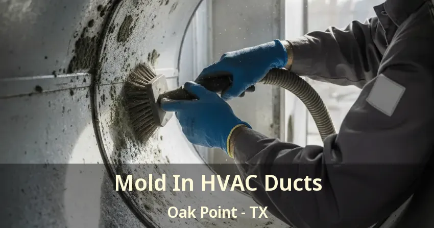 Mold In HVAC Ducts Oak Point - TX