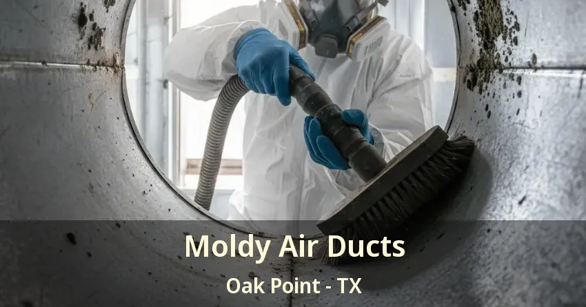 Moldy Air Ducts Oak Point - TX